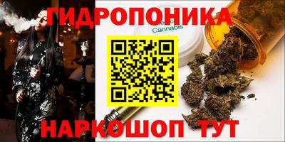 бошки Ачхой-Мартан