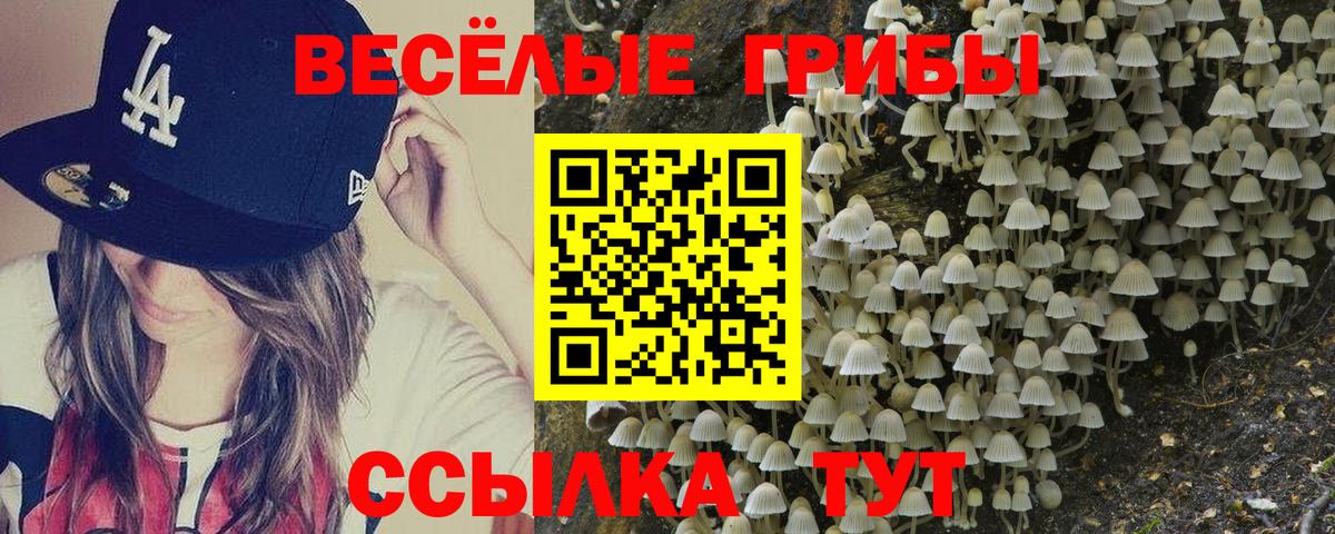 Галлюциногенные грибы прущие грибы Большой Камень