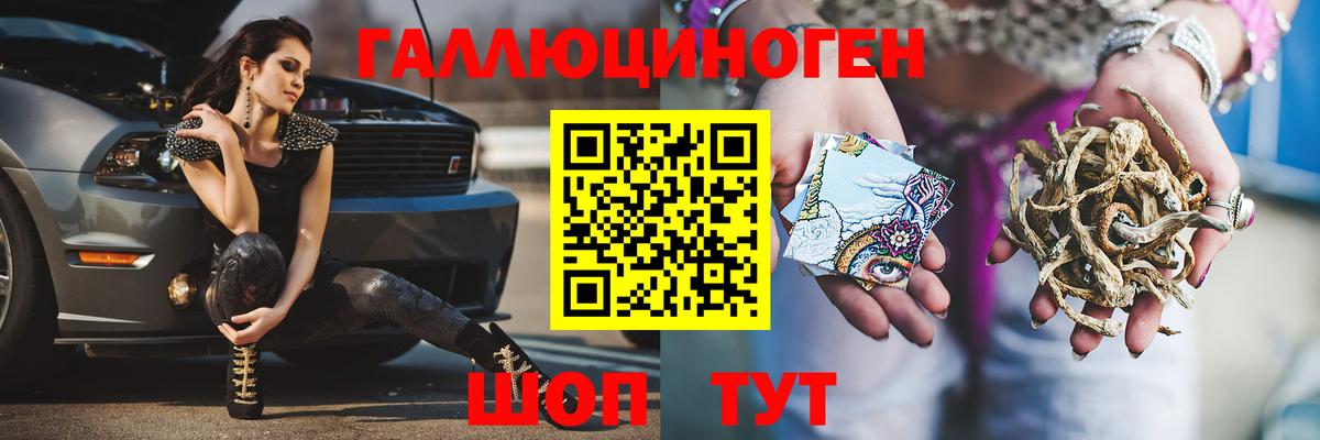 Псилоцибиновые грибы Psilocybine cubensis  Вход с VPN  Большой Камень  Галлюциногенные грибы Magic Shrooms 